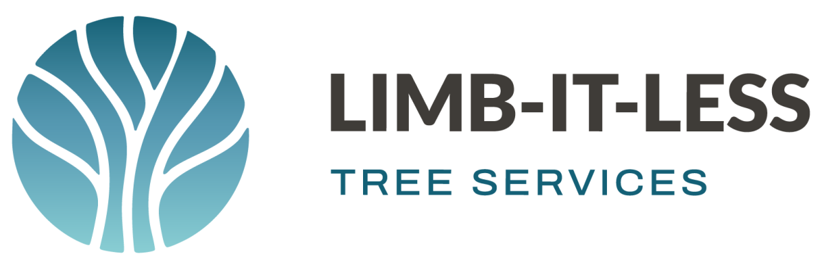 Link to Home using the Logo